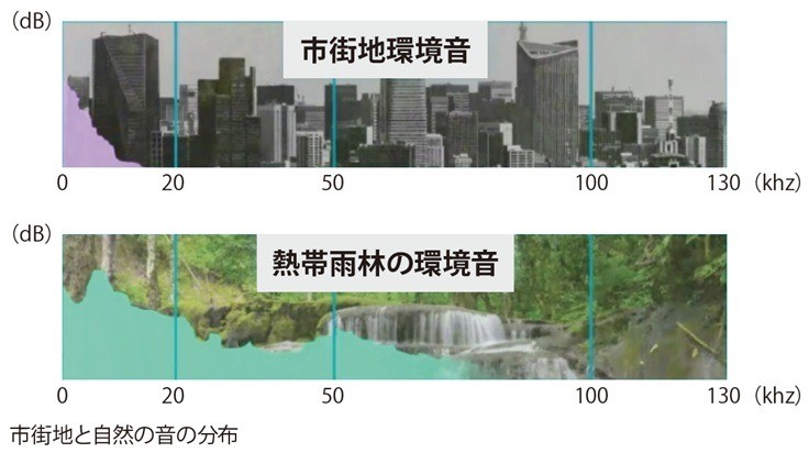 b89a75ca70bbe7ddb083d2d74c351543-1776247283.jpg