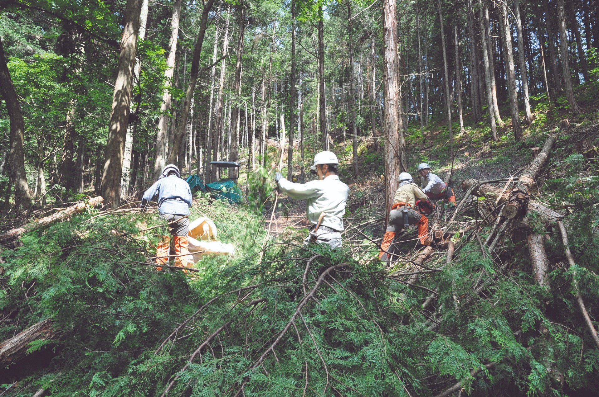 【つなぐFM】匠の心と技をもって飛騨を木工の聖地とする